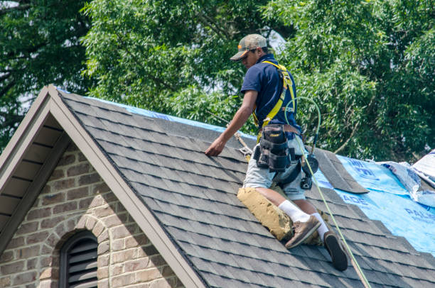 Best Storm Damage Roof Repair  in Hackensack, NJ
