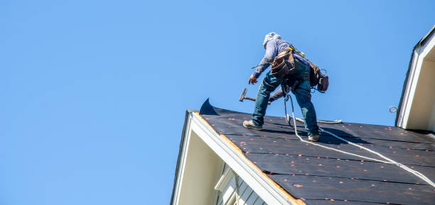 Best Roof Waterproofing Services  in Hackensack, NJ